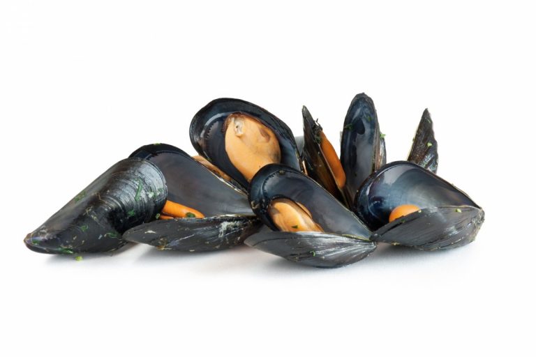 Produktion av musslor ökar