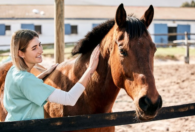 Många hästplatser saknas i Jordbruksverkets register – försvårar arbetet att stoppa smittsamma sjukdomar