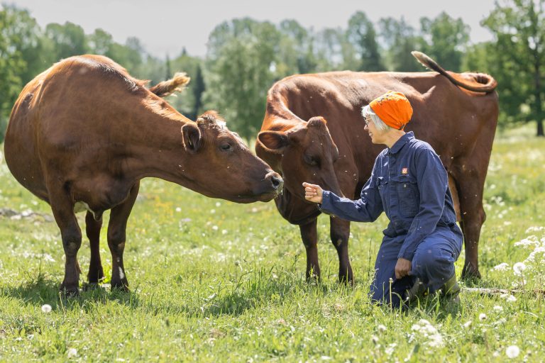 Lantbrukets eget säkerhetstänk ger veterinären bättre arbetsmiljö