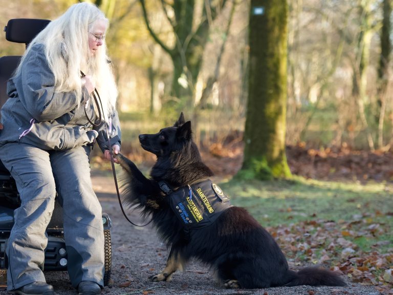 Diabetshunden Gino tilldelas utmärkelsen Årets Tjänstehund