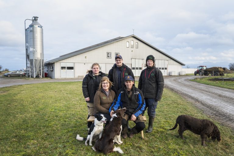 Herd of the year är utsedd – går till Arbelunda Sörgård